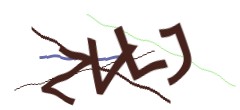 Identifying code