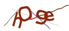 Identifying code