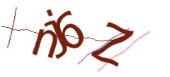 Identifying code