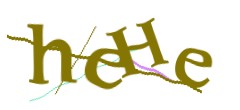 Identifying code
