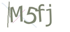 Identifying code