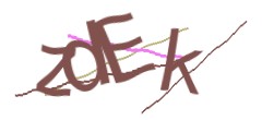 Identifying code
