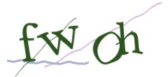Identifying code