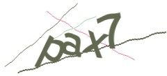 Identifying code