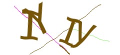 Identifying code