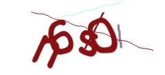 Identifying code