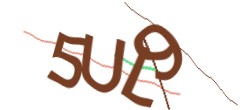Identifying code