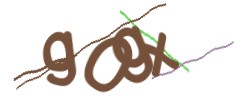 Identifying code