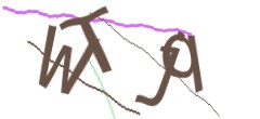 Identifying code