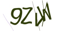 Identifying code