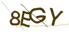 Identifying code