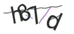 Identifying code