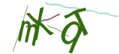 Identifying code