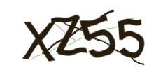 Identifying code