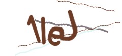 Identifying code
