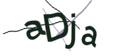 Identifying code
