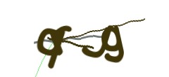 Identifying code