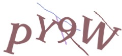 Identifying code