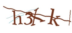 Identifying code