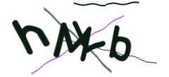 Identifying code