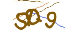 Identifying code