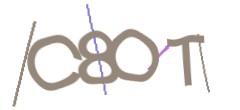 Identifying code