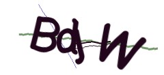 Identifying code