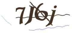 Identifying code