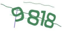 Identifying code