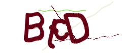 Identifying code