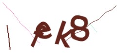 Identifying code