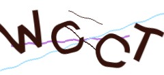 Identifying code