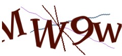 Identifying code