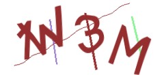 Identifying code