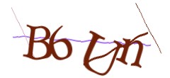 Identifying code