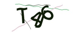 Identifying code