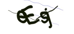 Identifying code
