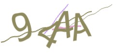 Identifying code