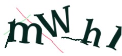 Identifying code