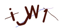 Identifying code