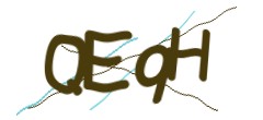 Identifying code