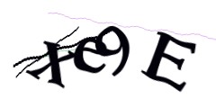 Identifying code