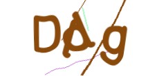 Identifying code