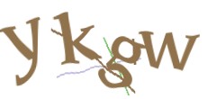 Identifying code