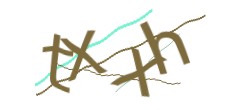 Identifying code