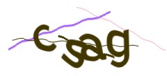 Identifying code