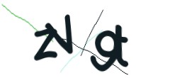 Identifying code