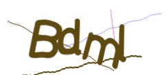 Identifying code