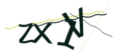 Identifying code