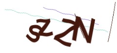 Identifying code
